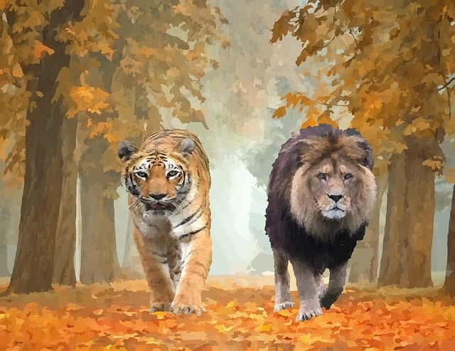 Tiger and a lion